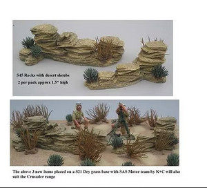 JG-S45 Rocks with Desert Shrub