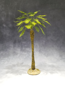 LPMTRE008D Large Desert Sugar Palm LPMTRE008D Large Desert Sugar Palm