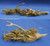 JG-S17A Fallen Branches