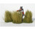 JG-S32 Long Green Grass