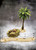 LPMTRE006D Broad Leaf Palm Tree (Desert variant)