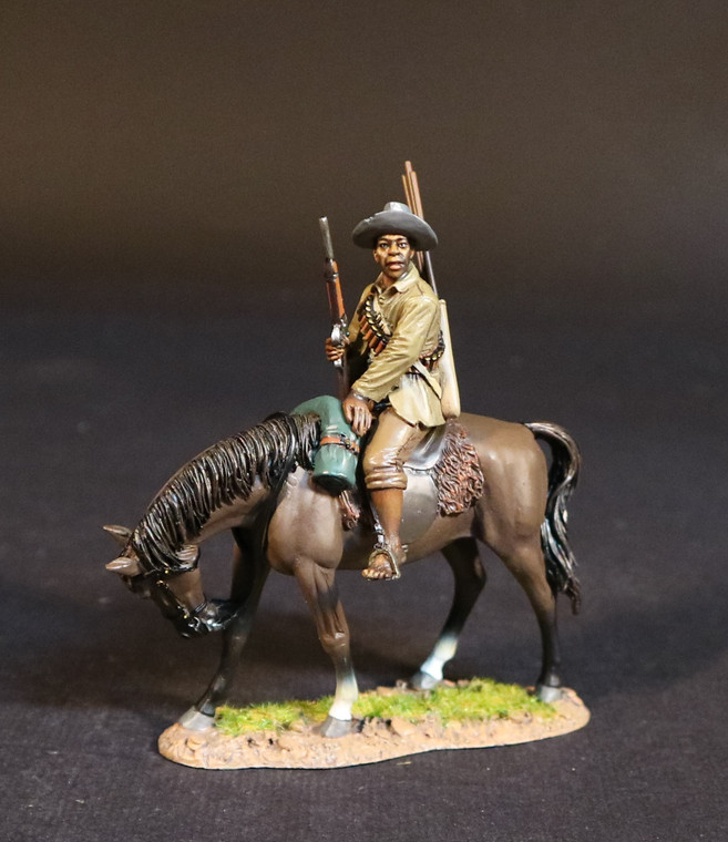 JJGGNNH05 Natal Native Horse