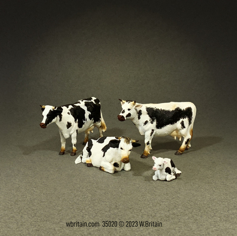 BR35020 Cows