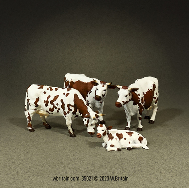 BR35021 Cows