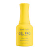 Kiara Sky Gel Pro Hema-Free All The Bright Moves