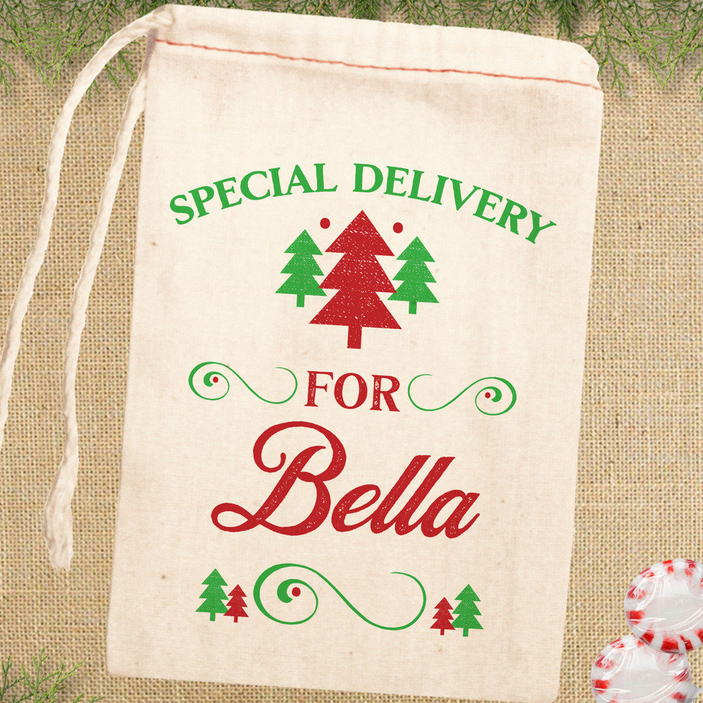 Special Delivery Christmas Gift Bags