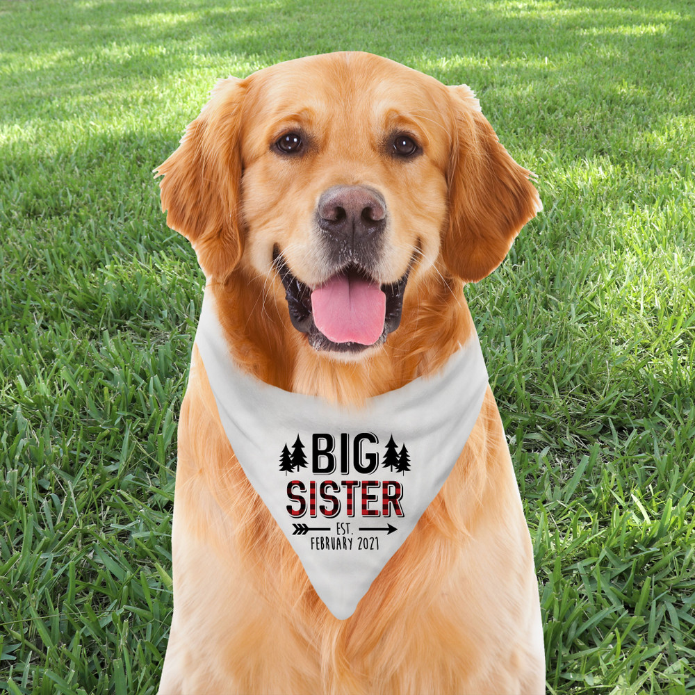 Personalized Dog Bandana: Perfectly Plaid Big Sister
