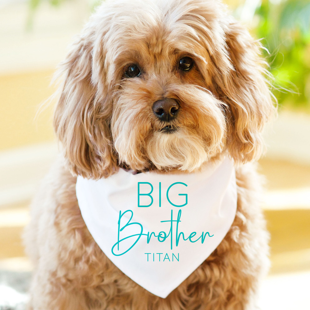 Personalized Big Brother Dog Bandana with Name