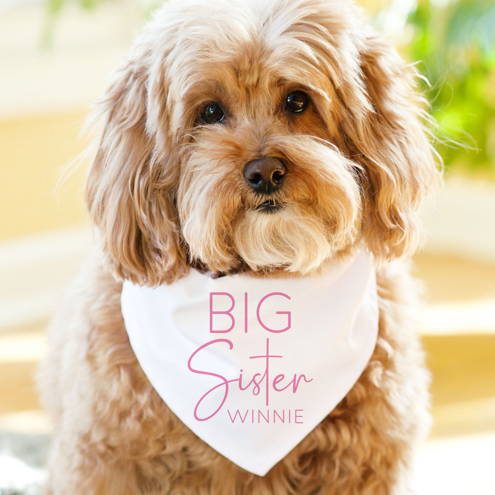 Personalized Big Sister Dog Bandana with Name