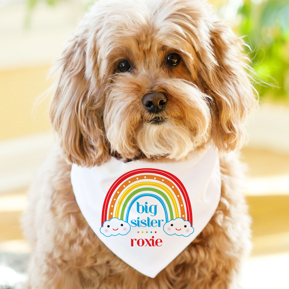 Personalized Big Sister Dog Bandana with Name - Rainbow Dog Bandana for Girl - Custom Dog Scarf Pregnancy Announcement
