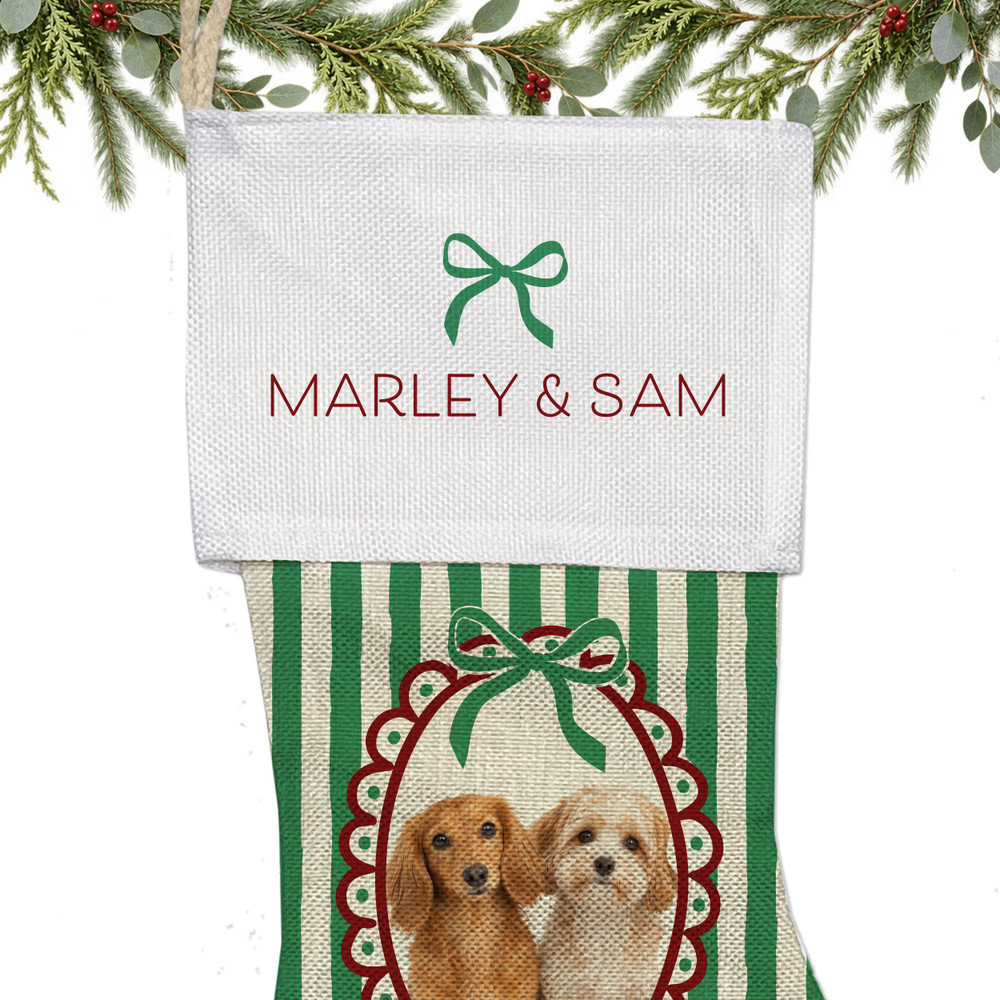 Bow Pet Photo Stockings