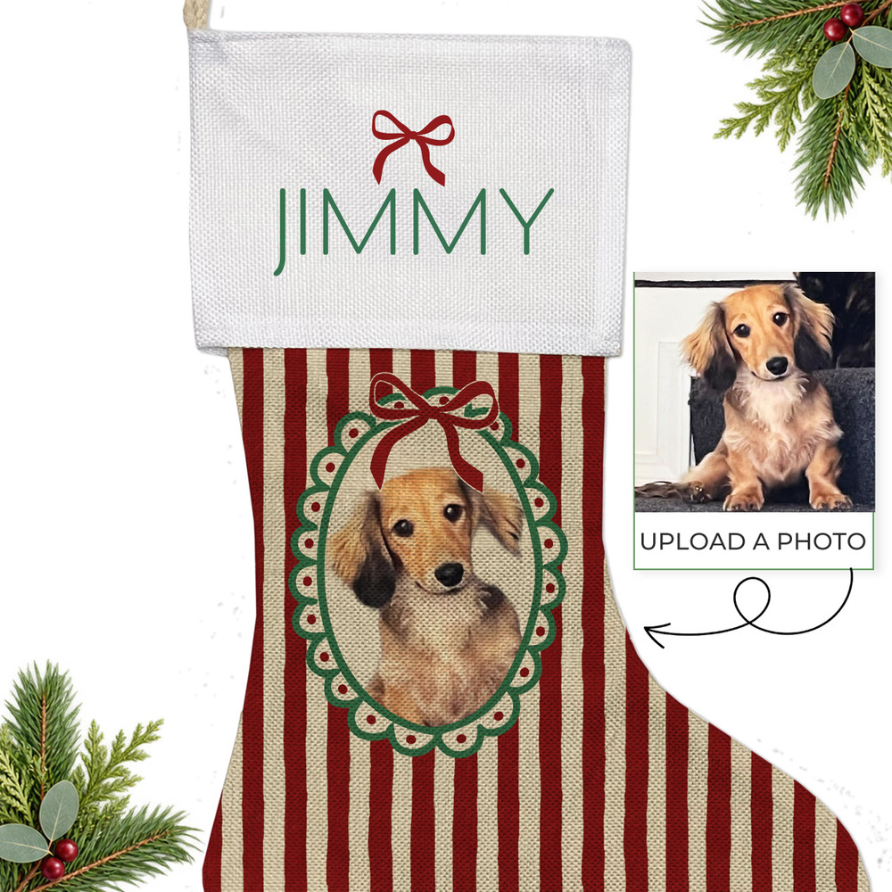 Bow Pet Photo Stockings