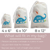 Jurassic Dinosaur Favor Bags