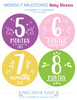 Monthly Milestone Baby Stickers: Pastel Pinks