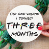 Friends Baby Shower Gift - The One Where I Turned 3 Months - Friends TV Show Wooden Monthly Milestone Photo Props - Funny Baby Month Circles - Photo Cards for Baby's First Year - Wood Round Baby Milestone Set