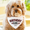 Plaid Birthday Dog Bandana