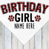 Plaid Birthday Dog Bandana