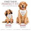 Santa's Little Yelper Dog Bandana