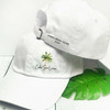 Palm Tree Mexico Baseball Hats