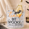 A Tini Bit Spooky Ice Bucket