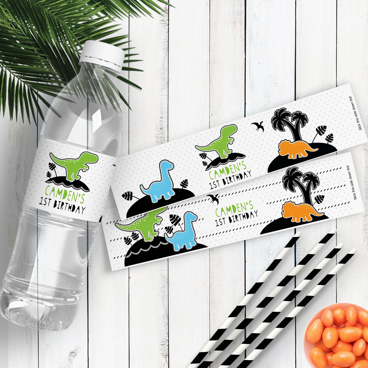 Dinosaur Party Waterproof Name Labels