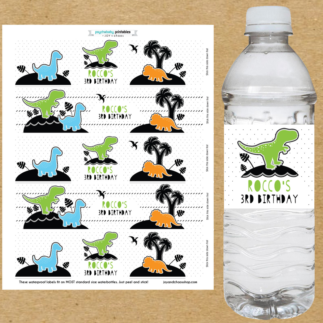 1pc Dinosaur & Slogan Graphic Water Bottle
