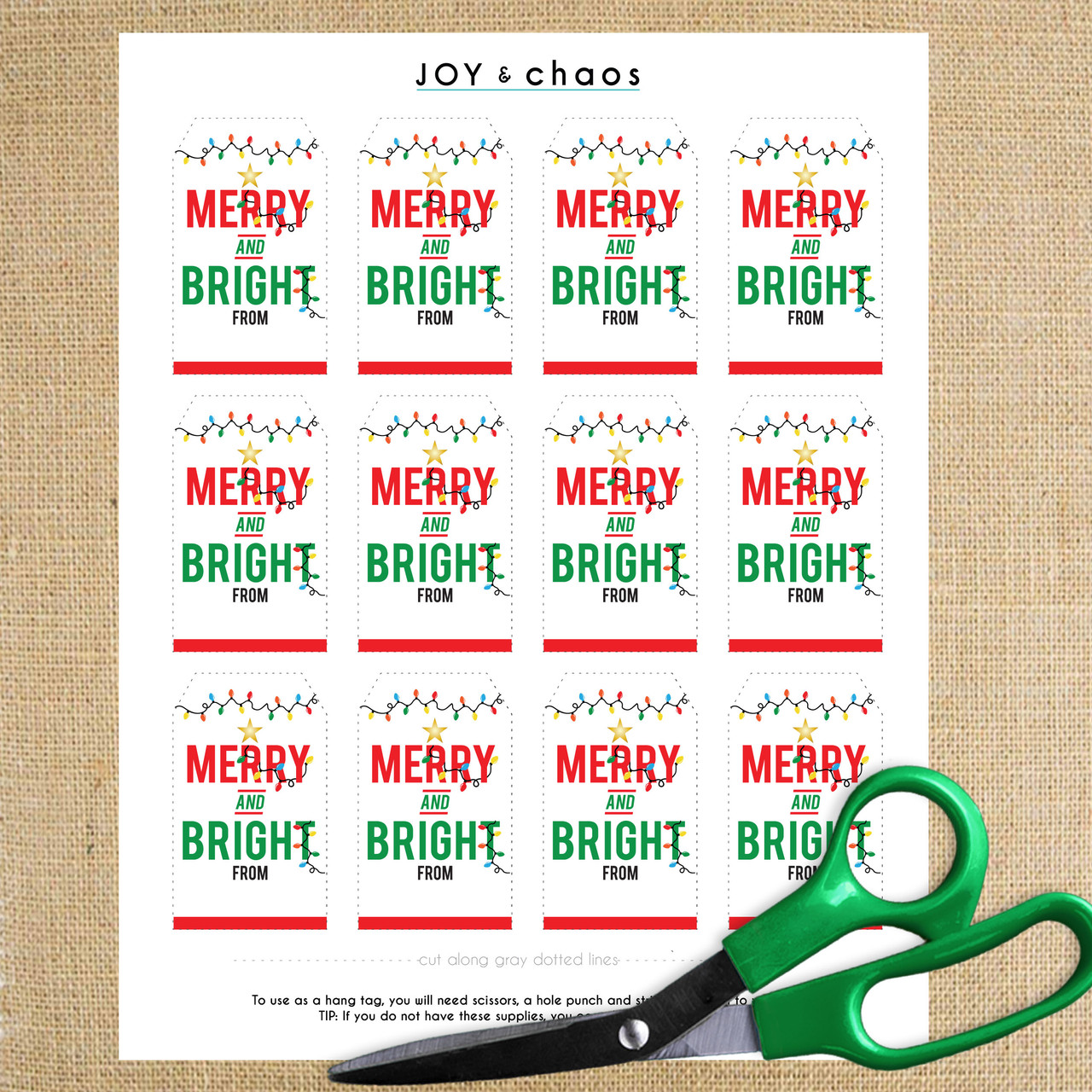 Merry and Bright Gift Idea with Printable Tag