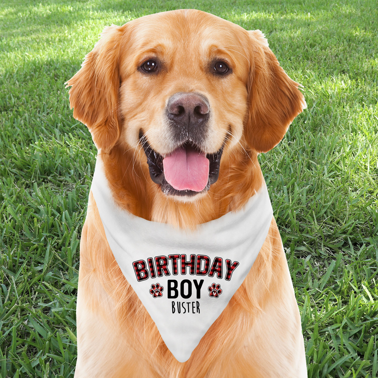 Dog deals birthday neckerchief