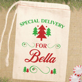 Special Delivery Christmas Gift Bags