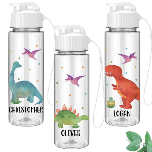 Watercolor Dino 17oz Water Bottle Watercolor Dino 17oz Water Bottle