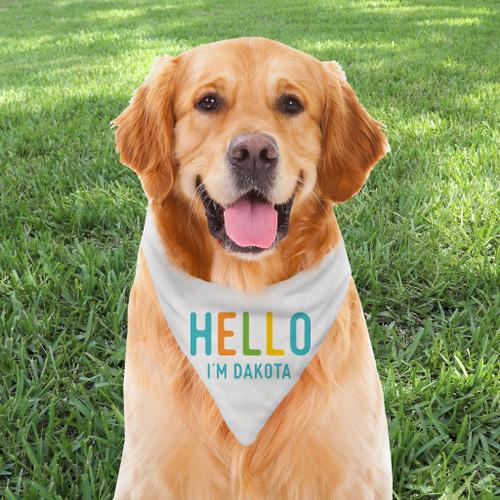 Personalized Dog Bandana: Rainbow Hello
