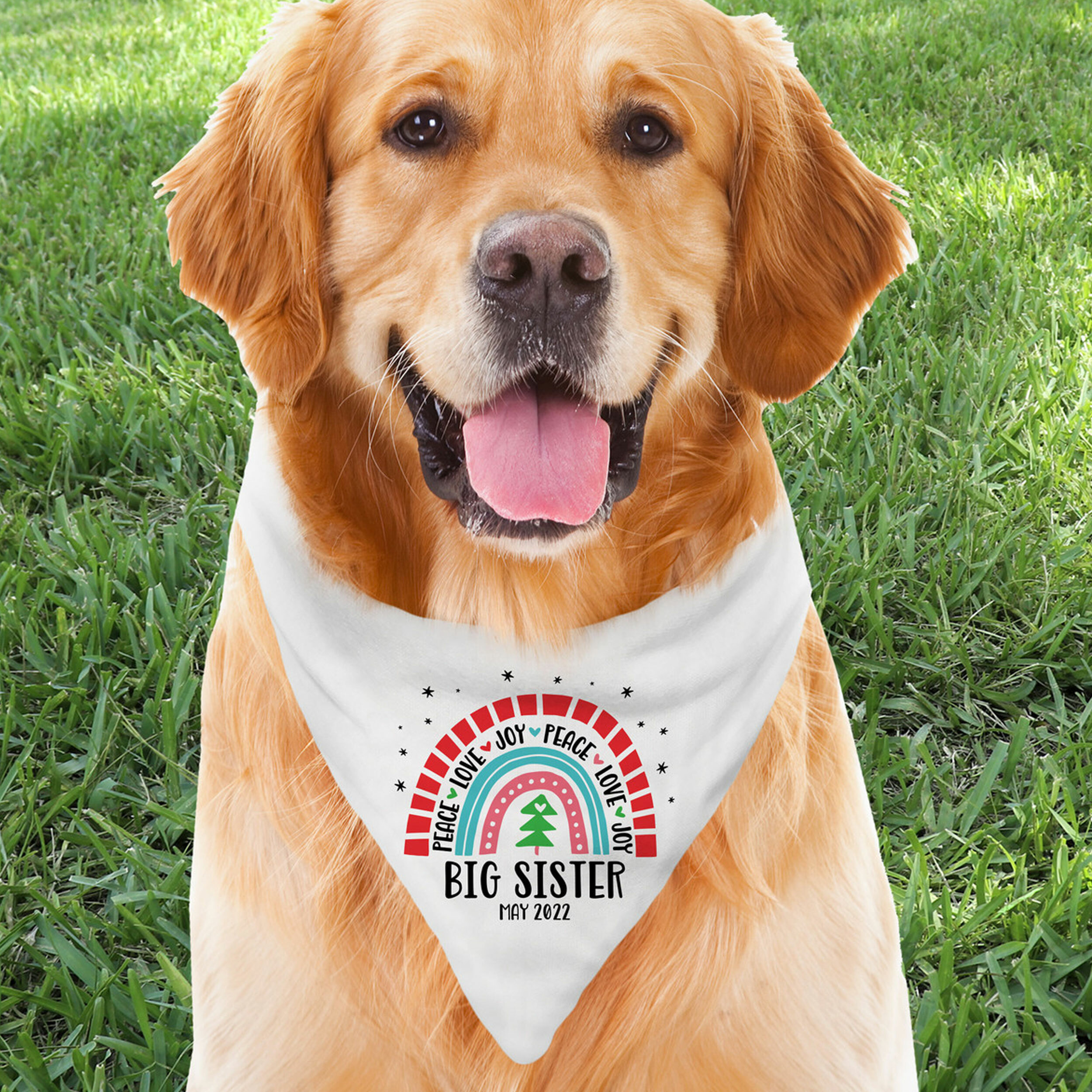 Christmas Gifts for Pets