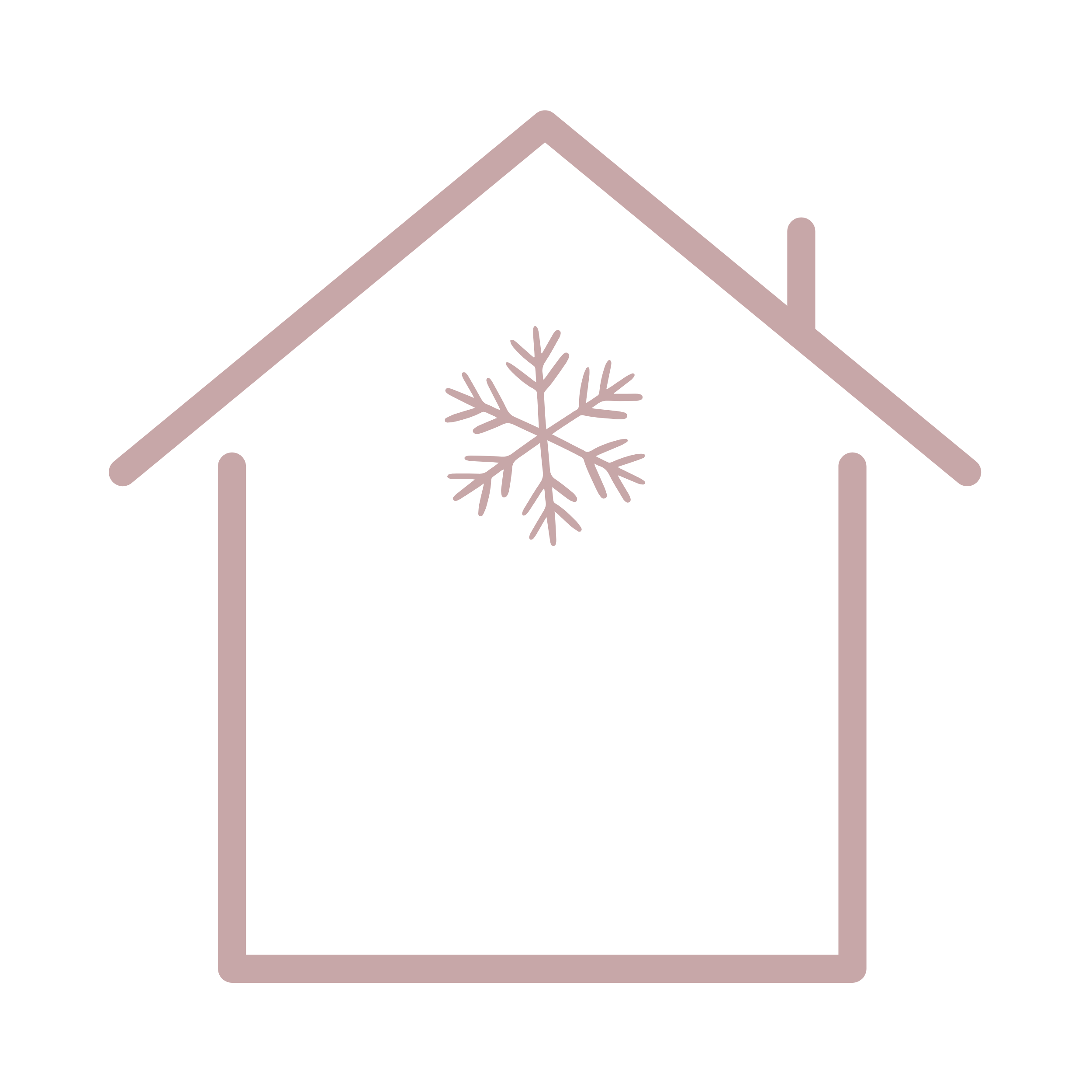 Christmas Home & Entertaining