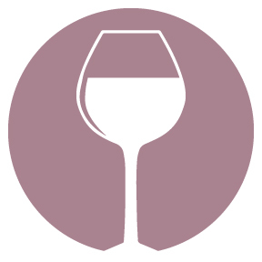 Wine & Vineyard Vibes