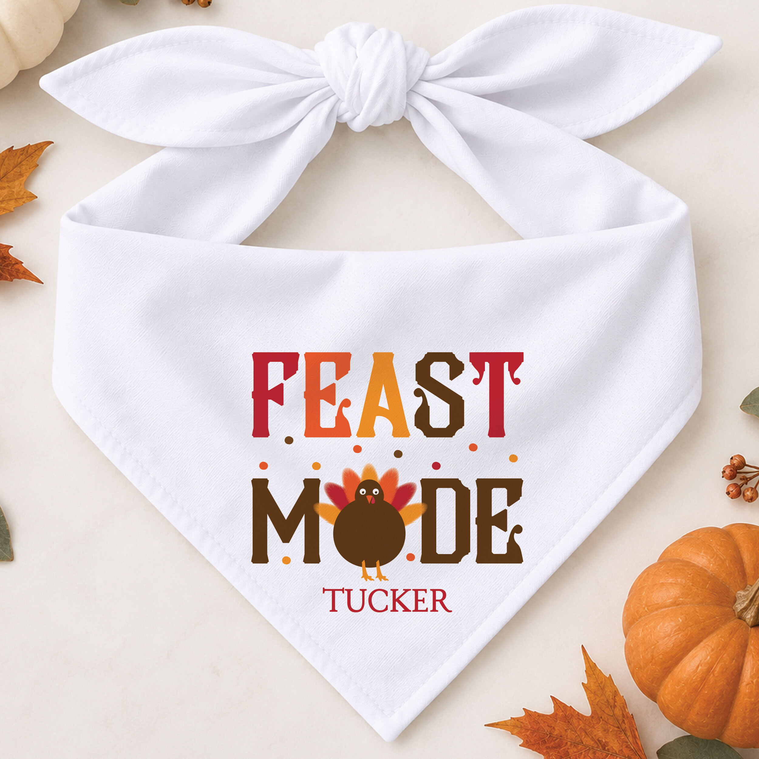 Personalized Thanksgiving gifts for pets