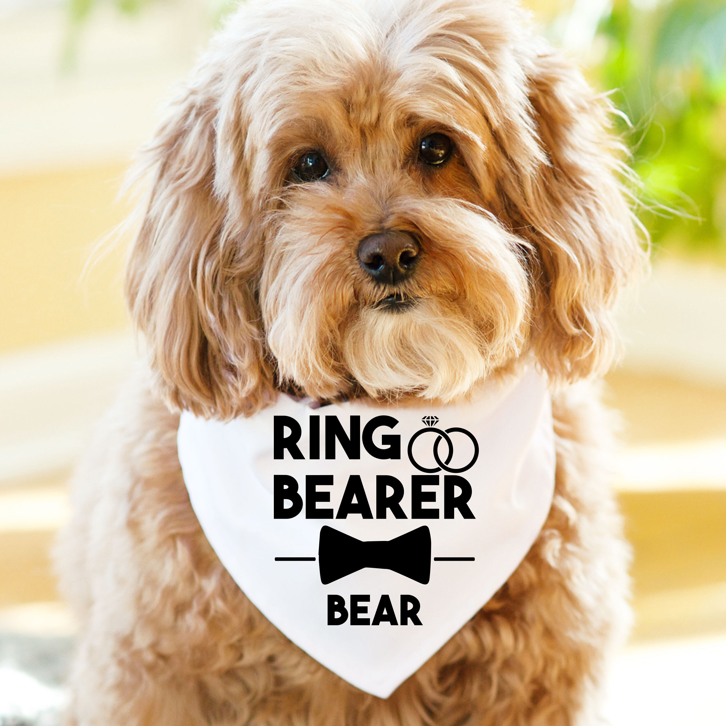 Personalized ring bearer gifts
