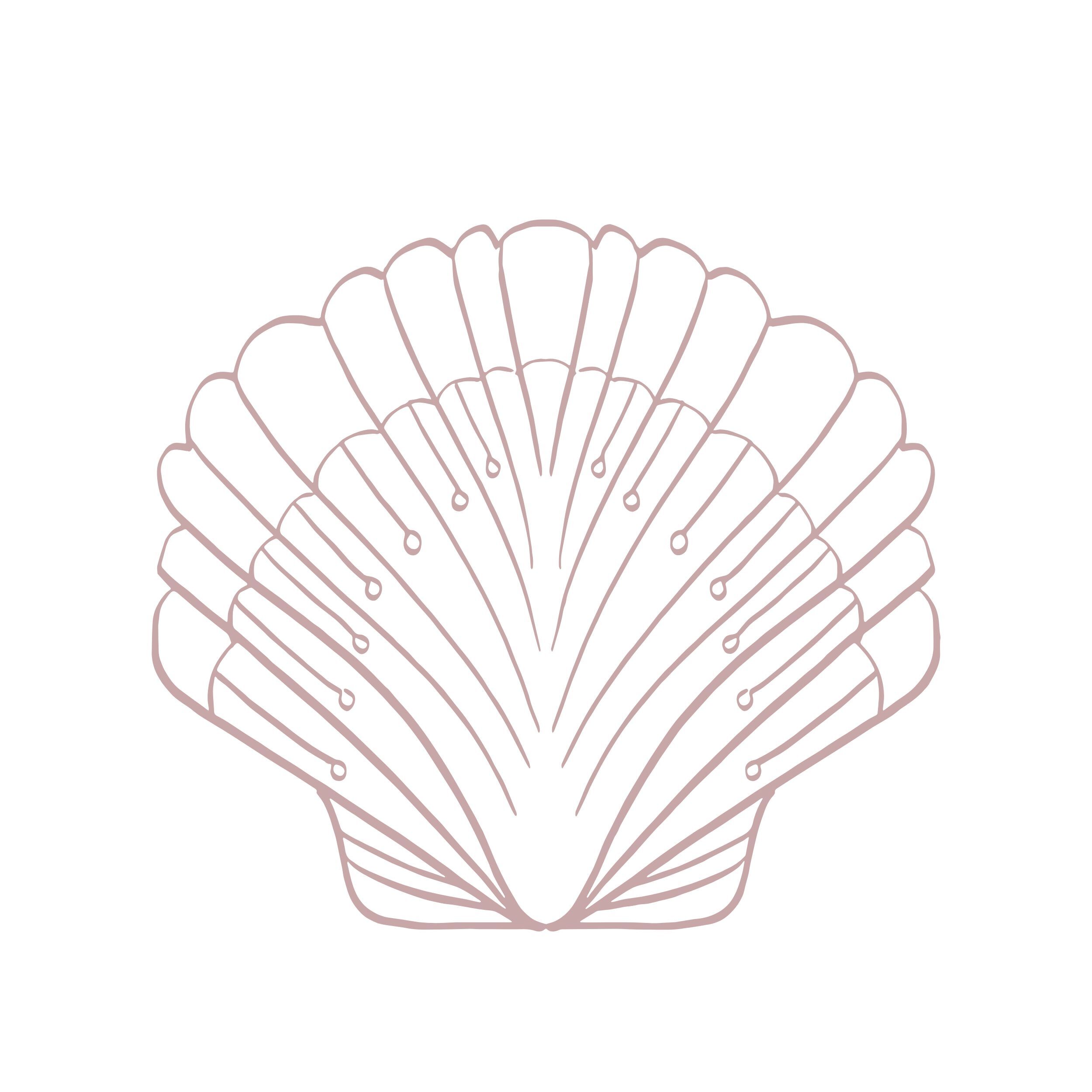 Coastal & Nautical Weddings