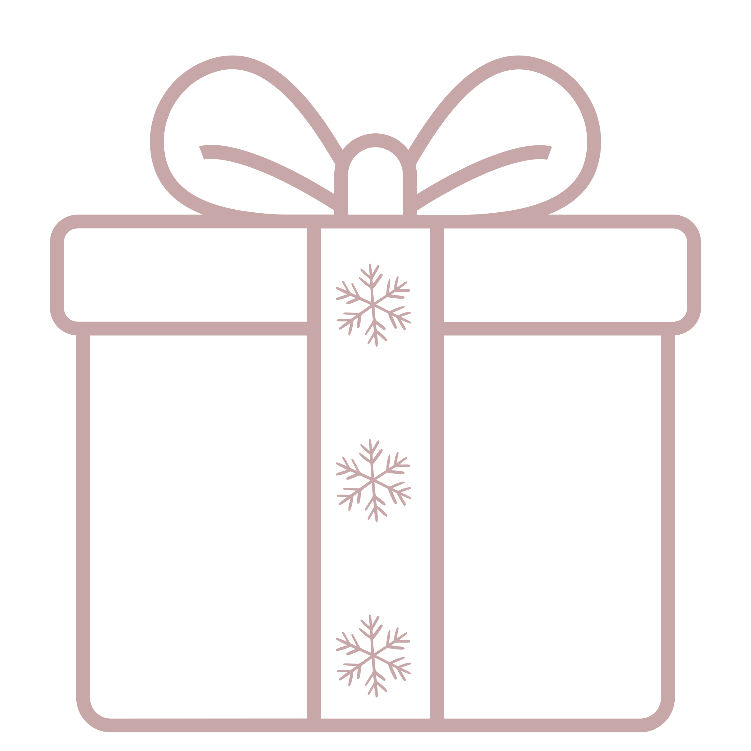 Christmas Gift Wrap & Packaging