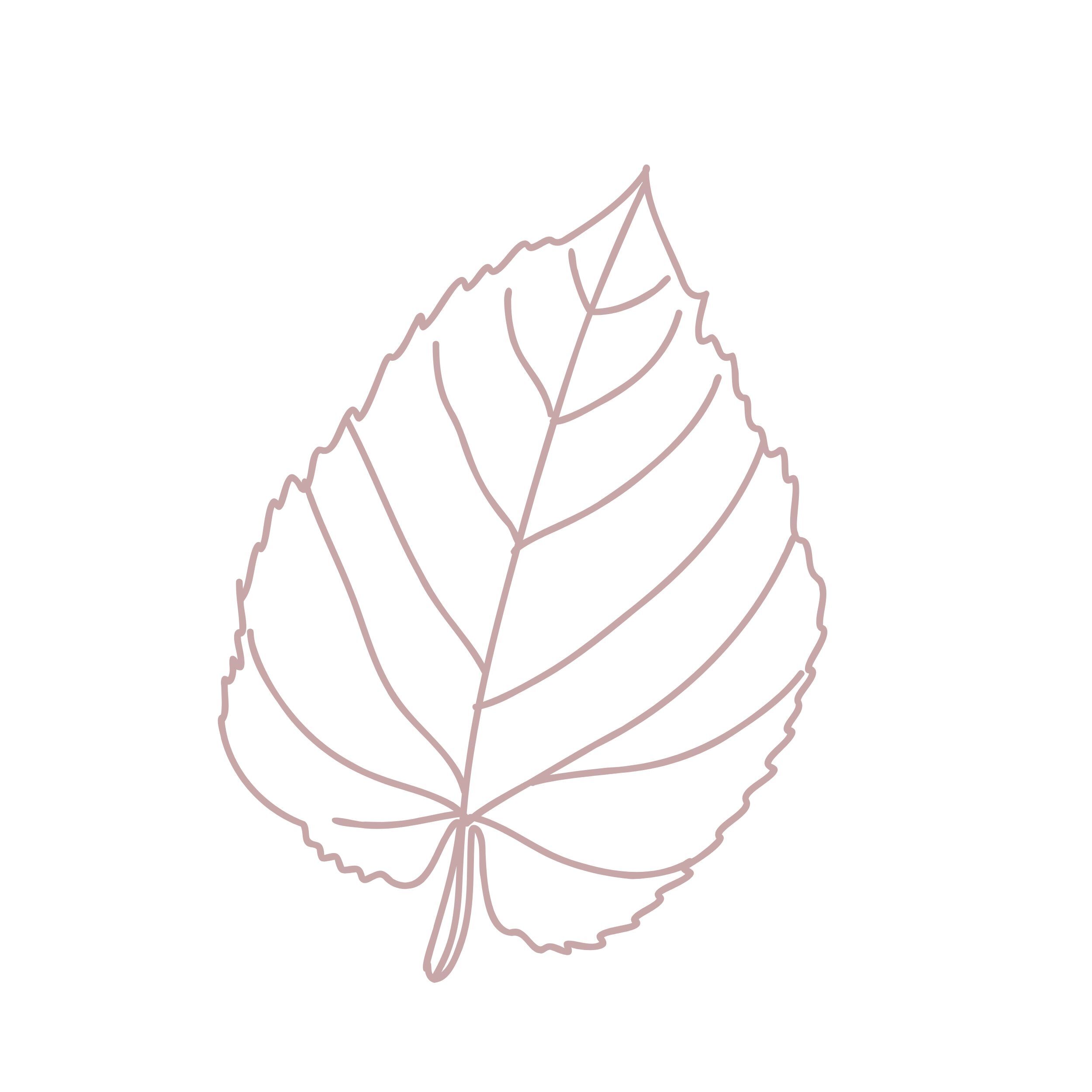 Seasonal Weddings