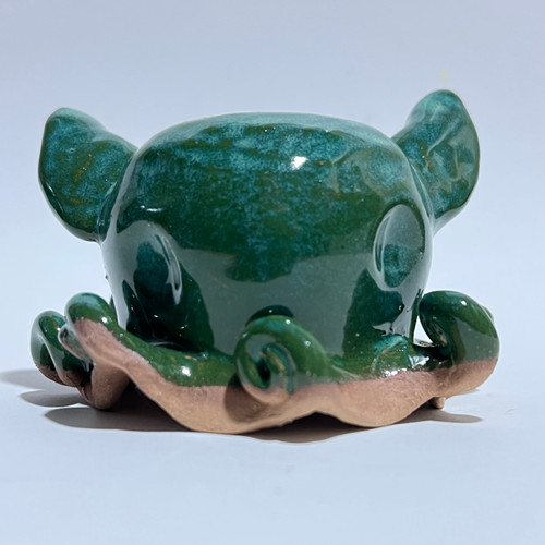 Dumbo Octopus -2