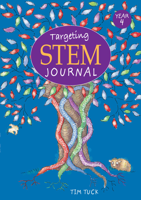 Targeting STEM Year 4