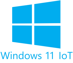 Windows 11 IoT License from Logic Controls