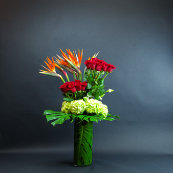 Passion in Paradise is a bold, modern, tropical luxury signature rose arangement with a clean architectural style featuring birds of paradise, green hydrangeas, tropical monstera green leafs, arranged in a tall green glass cylinder vase designed by senior florists at Lexis Florist Houston.