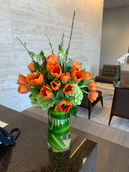 Tulips in clear glass vase