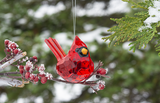 Elegant Cardinal Ornament 