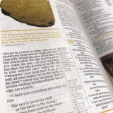 New International Version Study Bible - Fully Revised Edition - Large Print