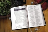 Men's Devotional Bible - New International Version - Large Print Edition