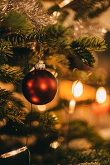 A Christmas and New Year Message from Our Family!