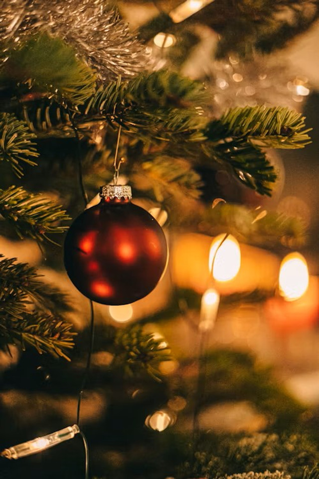 A Christmas and New Year Message from Our Family!