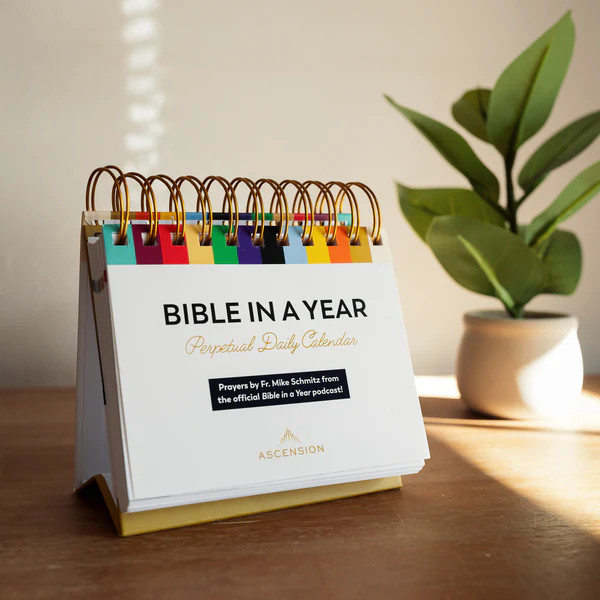 Bible in a Year Perpetual Daily Calendar